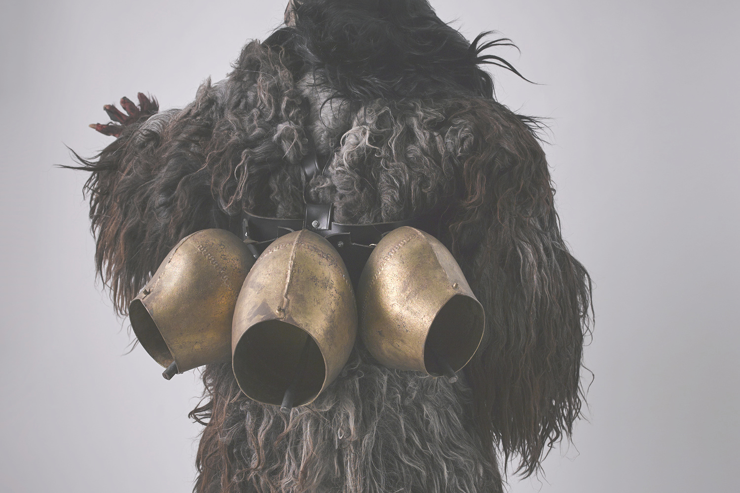 レンタルサービス ギャラリー10