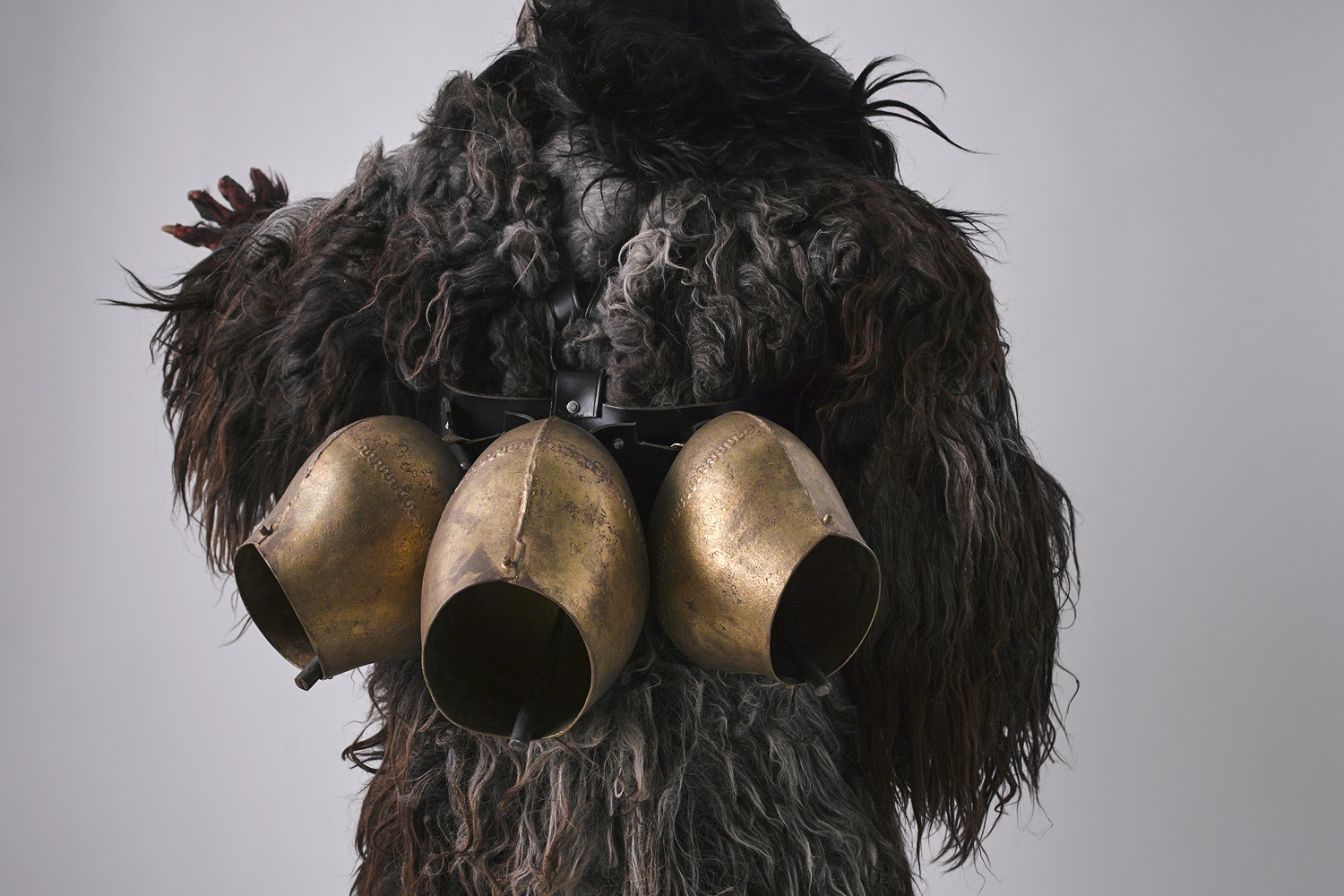 レンタルサービス ギャラリー10