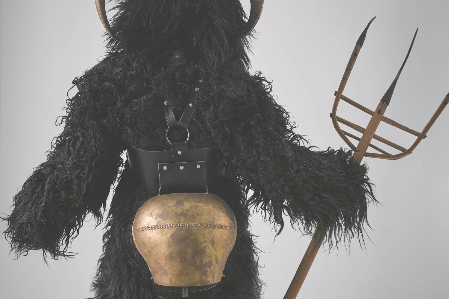 レンタルサービス ギャラリー12