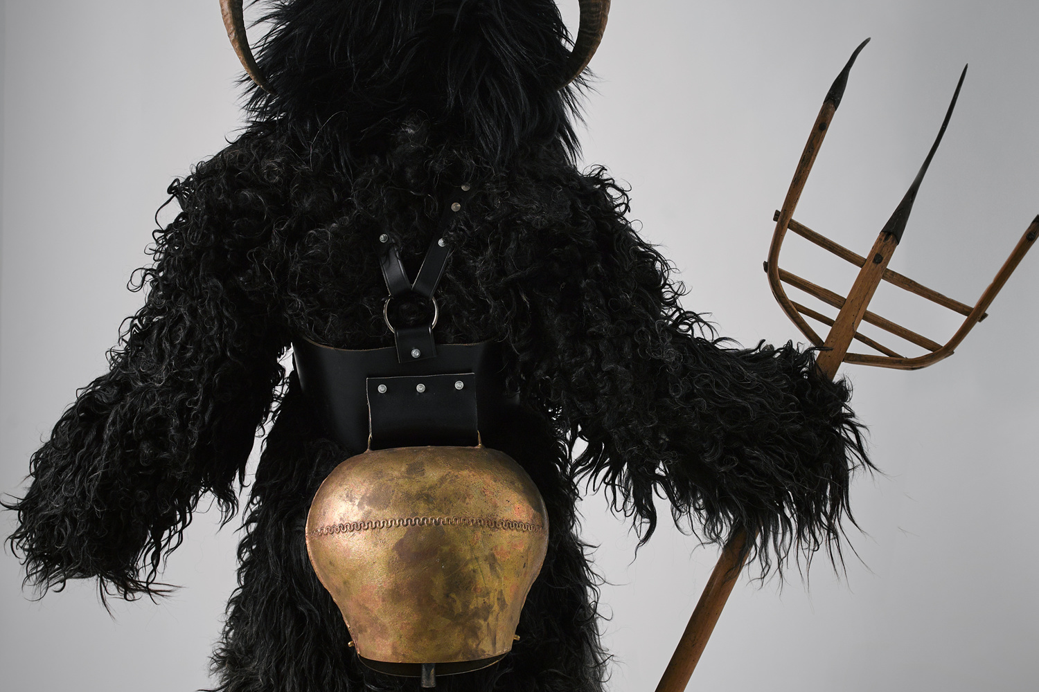 レンタルサービス ギャラリー12